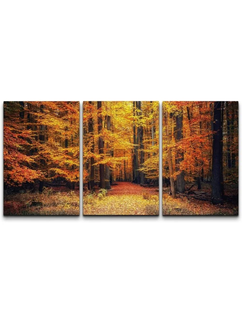 3 Piece Canvas Wall Art Set - Autumn Park Pathway - Modern Framed Decor, 16x24